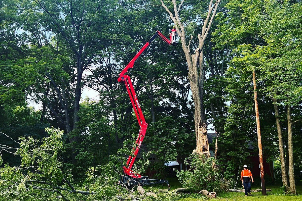 Cẩu nâng người lên cao để cắt tỉa cây